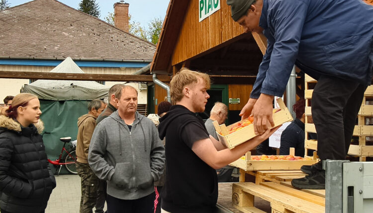 20251003-IMG_20251003_131545