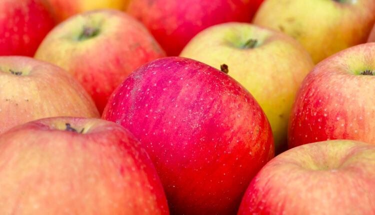 20251003-IMG_20251003_131720