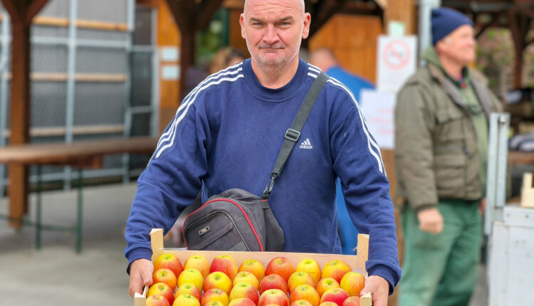 20251003-IMG_20251003_133147